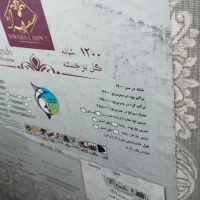 فرش 12متری1200شانه جفت نو|فرش|زاهدان, |دیوار