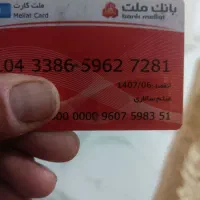 مدارک میثم سالاری گمشده