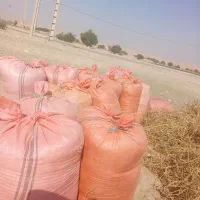 کاه ماش|عمده‌فروشی|اندیمشک, |دیوار