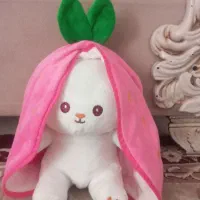 سمنان دکور|اسباب‌بازی بچه|سمنان, |دیوار