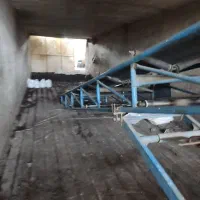 کارگر ساده خاک پوششی قارچ ۲نفر