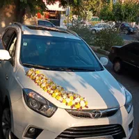 گل ماشین عروس ودسته گل دوتاش باهم شروع قیمت از2500|خدمات پذیرایی، مراسم|تهران, جنت‌آباد مرکزی|دیوار