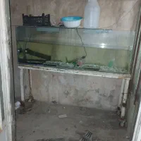 آکواریوم بزورگ