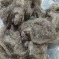 پشم شسته شده