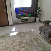 تلوزیون ۵۵ اینچ