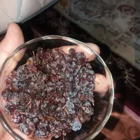 کشمش آفتابی ارگانیک بدون سمپاشی