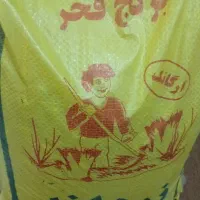 برنج فجر نو