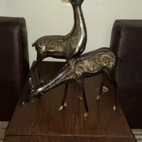 تزیینی هندی