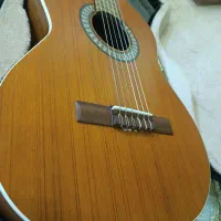 گیتار|گیتار، بیس، امپلیفایر|میاندوآب, |دیوار