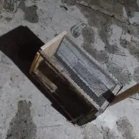 یه تله گربه صد درصدی