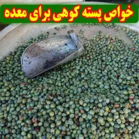 پسته بنه کوهی|خوردنی و آشامیدنی|مشهد مرغاب, |دیوار