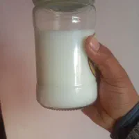 شیر|خوردنی و آشامیدنی|هریس, |دیوار