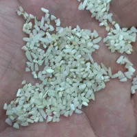 برنج نیم دانه دمسیاه چشمه ساران|عمده‌فروشی|آزادشهر, |دیوار