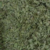 فروش آویشن کوهی