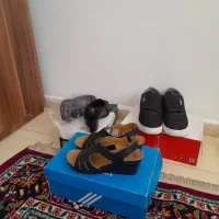 تعدادی کفش زنانه و مردانه