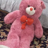 خرس|اسباب‌بازی بچه|یزد, |دیوار