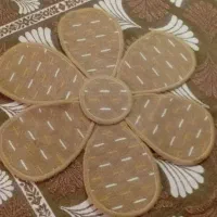پادری