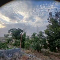 زمین-فروشی