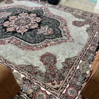 فرش۱۲متری|فرش|قزوین, |دیوار