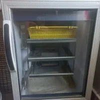 دستگاه جوجه کشی