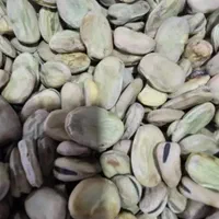 باقلای خشک درجه یک امسالی