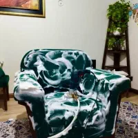 مبل شویی همدان موکت شویی و فرش و پشتی تمیز