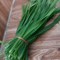 برگ سیر|خوردنی و آشامیدنی|رشت, نیروی دریایی|دیوار