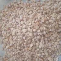 برنج کامفیروزی 240|خوردنی و آشامیدنی|شیراز, شریف‌آباد|دیوار