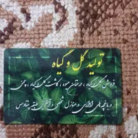 تولید گل و گیاه و پرورش و نگهداری منازل و ادارات