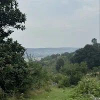 ۱۰۰۰ متر زمین باغ میوه در بابلکنار