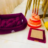 وسایل گربه با بهترین قیمت