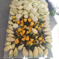 مانتو مسافرتی جاده چالوس|لباس|کرج, باغستان|دیوار