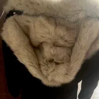 پالتو منگو|لباس|تهران, صد دستگاه|دیوار