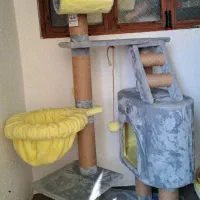 درخت گربه برند پتاژه|لوازم جانبی حیوانات|صومعهسرا, |دیوار