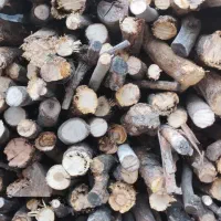 هیزم|عمده‌فروشی|شیراز, شهرک قمشه|دیوار