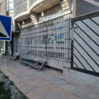 تجاری گلدیس بر خیابان سلمان فرعی ۱۰ شرقی|اجارهٔ مغازه و غرفه|شاهین‌شهر, شهرک گلدیس|دیوار