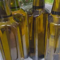 روغن زیتون اصل رودبار عمده و خرده