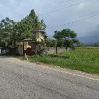 تنکابن۲۸۰مترلب آسفالت تجاری ۲دقیقه تا بلوار و دریا|فروش زمین و ملک کلنگی|خرمآباد (تنکابن), |دیوار