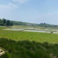 زمین-دوکله-جنوبی-و-شمالی-بر-خیابان-اصلی-سجادیه