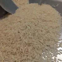 برنج پاکستانی اقتصادی رویال به شرط پخت خوب|خوردنی و آشامیدنی|مشهد, رسالت|دیوار