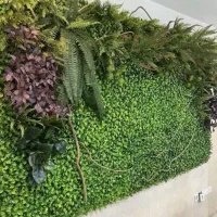 سقف کاذب،وکناف|خدمات پیشه و مهارت|بندر کنگان, |دیوار