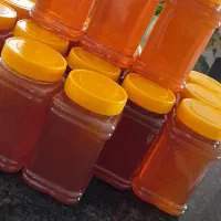 عسل طبیعی درجه یک