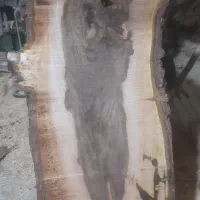 فروش چوب اسلب گردو|عمدهفروشی|اسکو, |دیوار