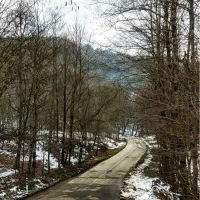 فعالیت برای بانوان