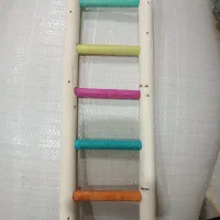 نردبان عروس ۲۰تومن عمده|لوازم جانبی حیوانات|بهارستان, |دیوار