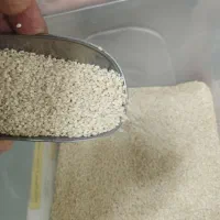 کنجد سفید بدون پوست