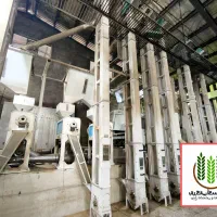 برنج عنبربو و چمپای اصیل خوزستان(تامین عمده)