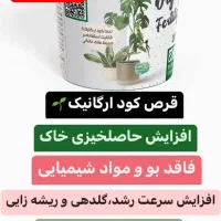 قرص کود|گل و گیاه طبیعی|نائین, |دیوار