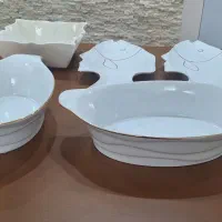 ظروف پذیرایی چینی