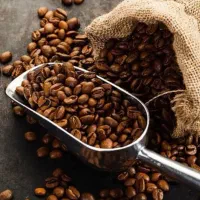 پخش قهوه گلدن